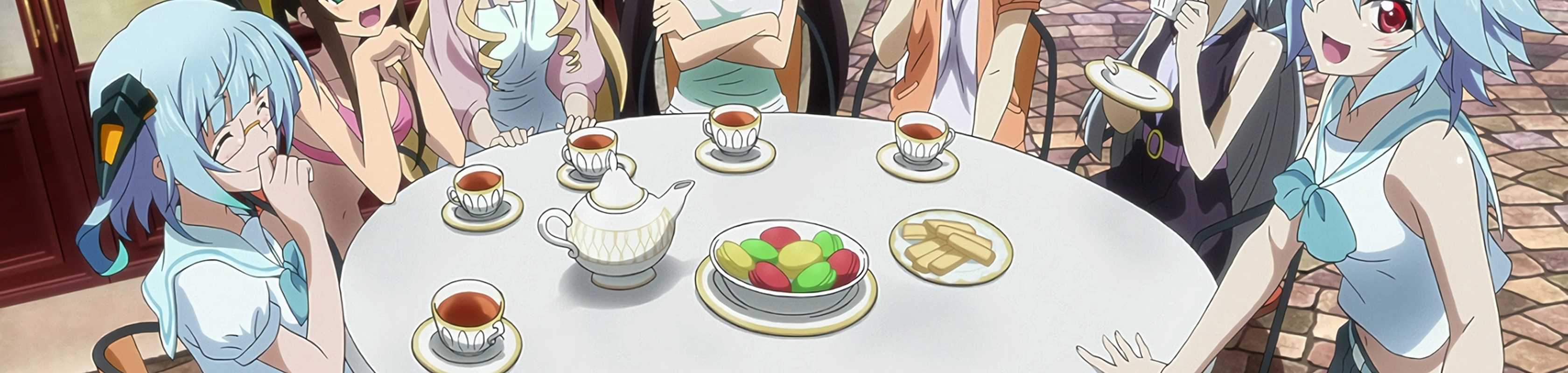 IS: Infinite Stratos 2 - Infinite Wedding banner