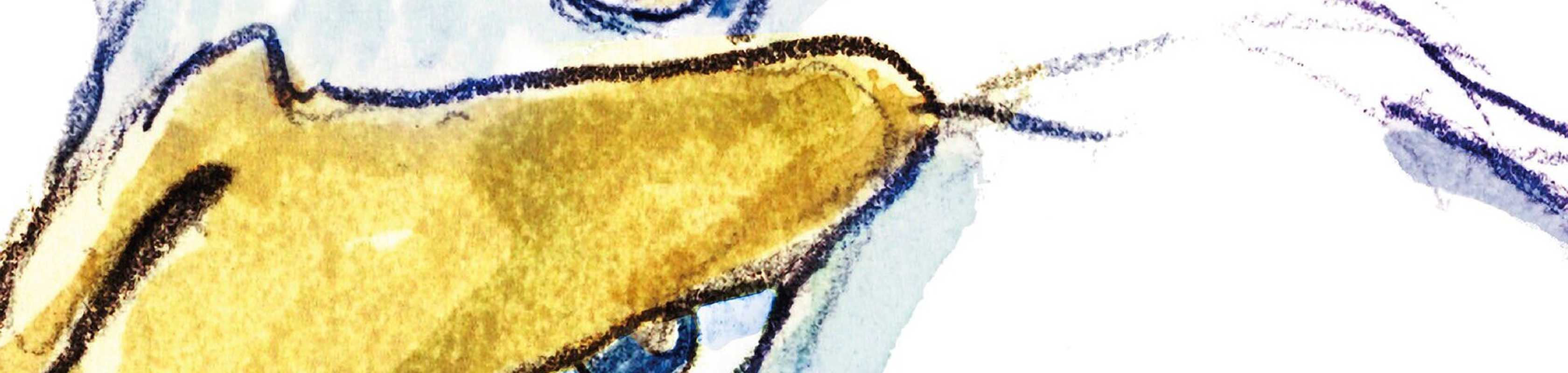 The Boy and the Heron banner