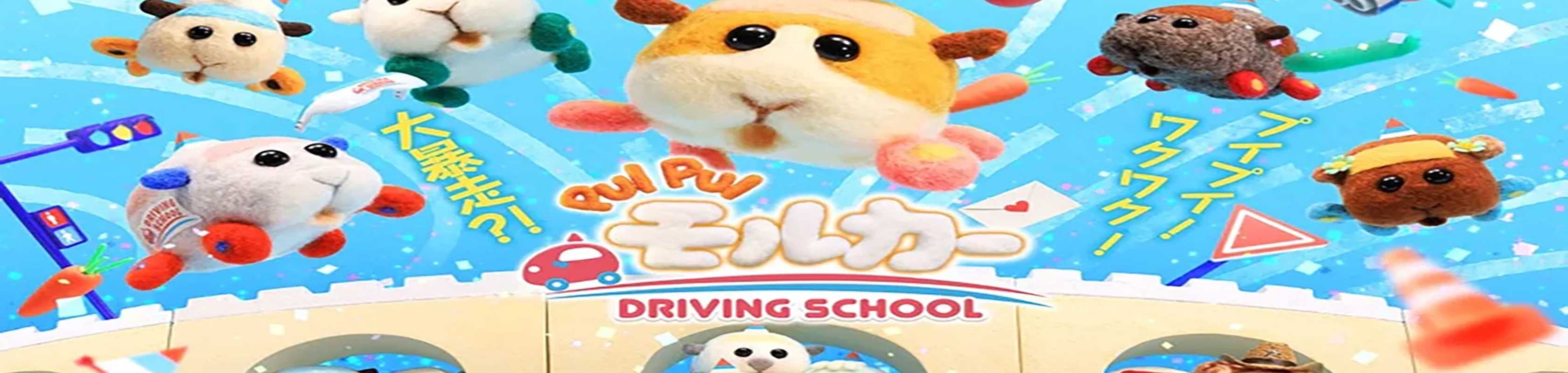 PUI PUI Molcar: DRIVING SCHOOL banner