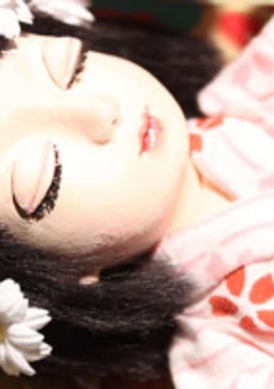 SnowWhite and the Seven Kokeshis