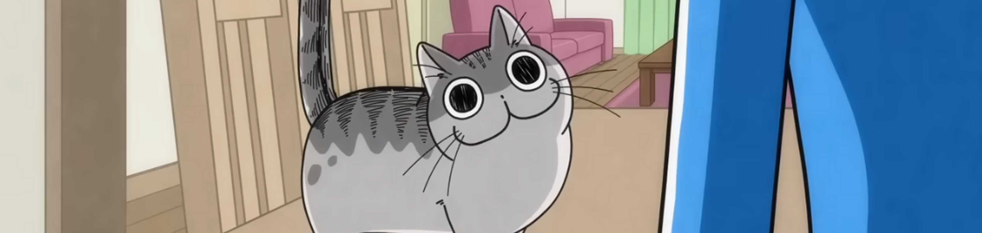 Nights with a Cat 2 banner