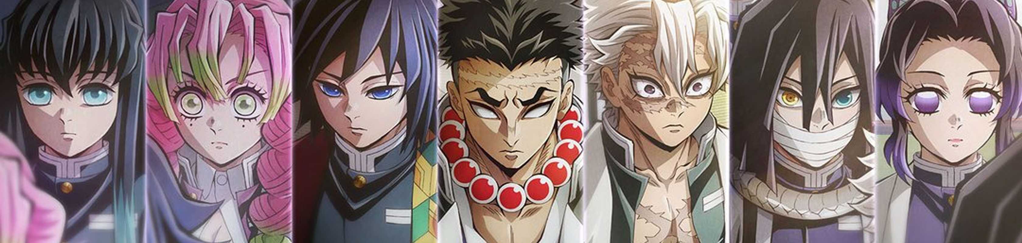 Demon Slayer: Kimetsu no Yaiba - Hashira Training Arc banner