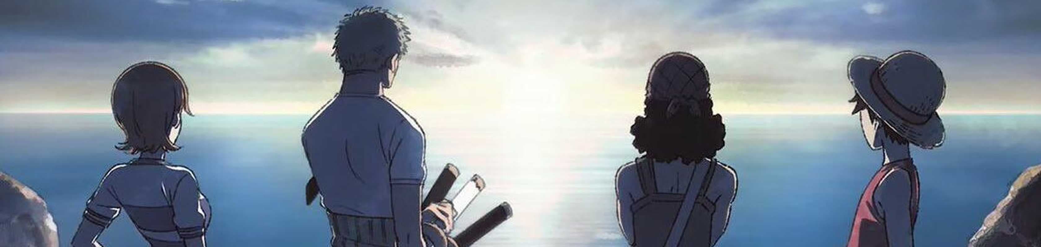 The One Piece banner