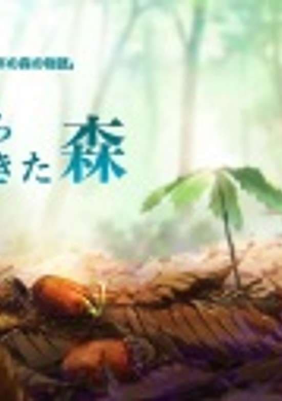 The Forest From the Future