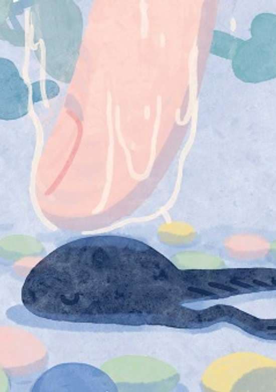 To the Moon and Back