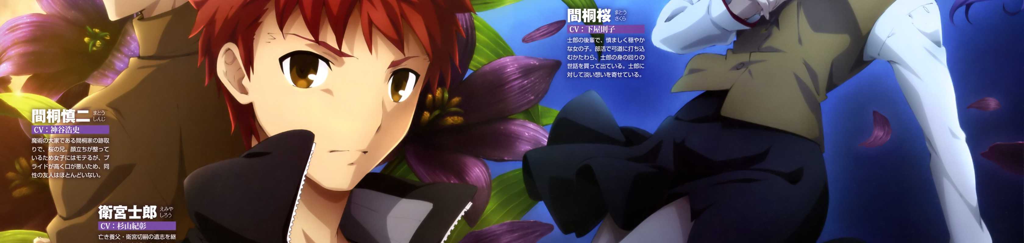 Fate/stay night: Heaven's Feel I. Presage Flower banner