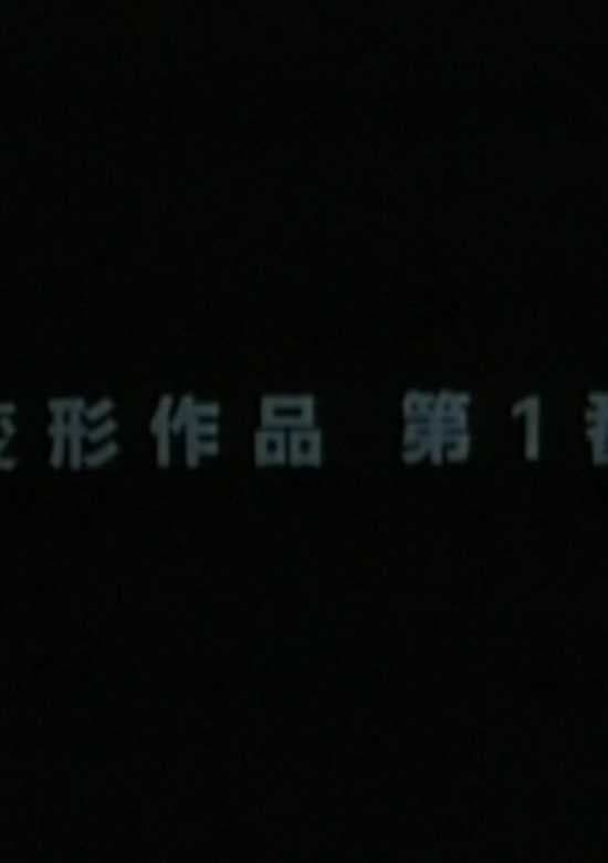 Metamorphose Works No.1