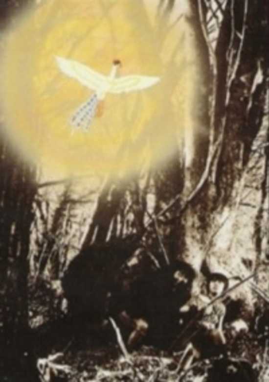 The Phoenix: Chapter of Dawn