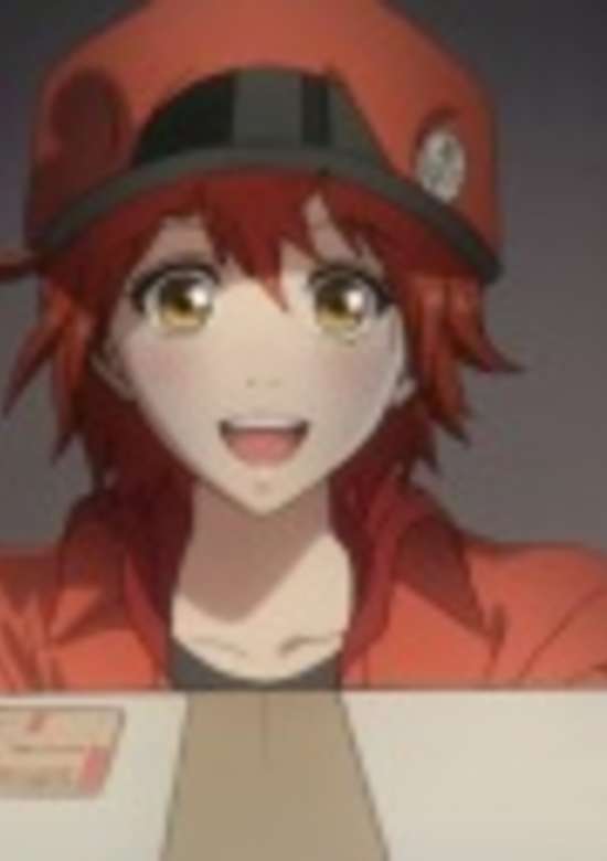 Cells at Work! (ONA)