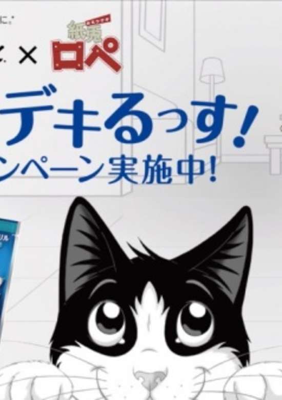 Felix x Kamiusagi Rope