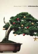 A Christmas Song