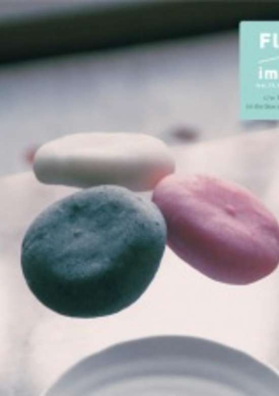 Fly feat. 79, Kaho Nakamura