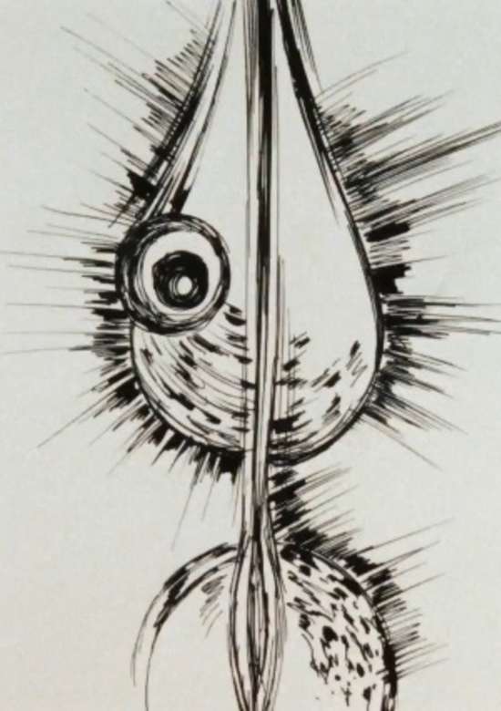 Gavora