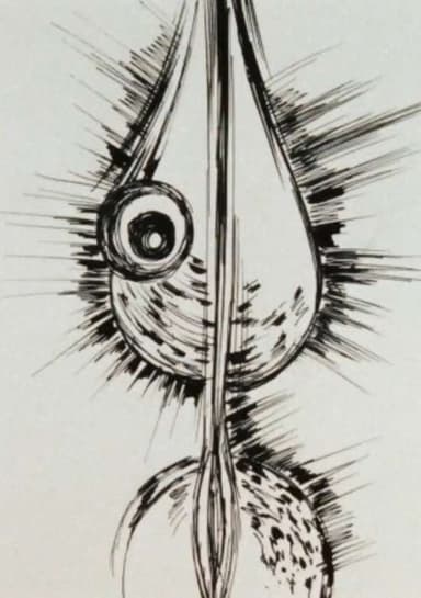 Gavora