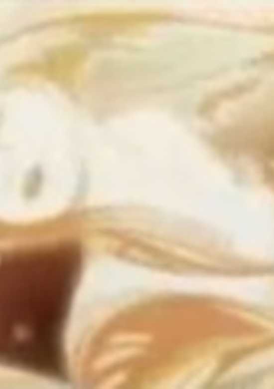 Passion banner
