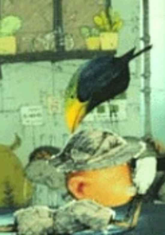 The Researcher's Search - Perspectivenbox