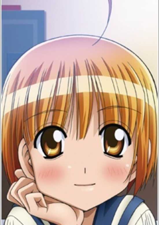 Oniichan no Koto nanka Zenzen Suki ja Nai n da kara ne!! Special