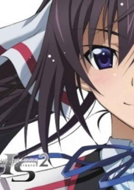 IS: Infinite Stratos 2 - Hitonatsu no Omoide banner