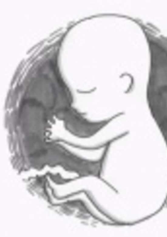 Follow Me banner