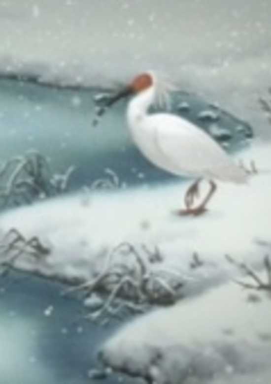 Toki: Kono Hoshi no Mirai wo Mitsumete banner