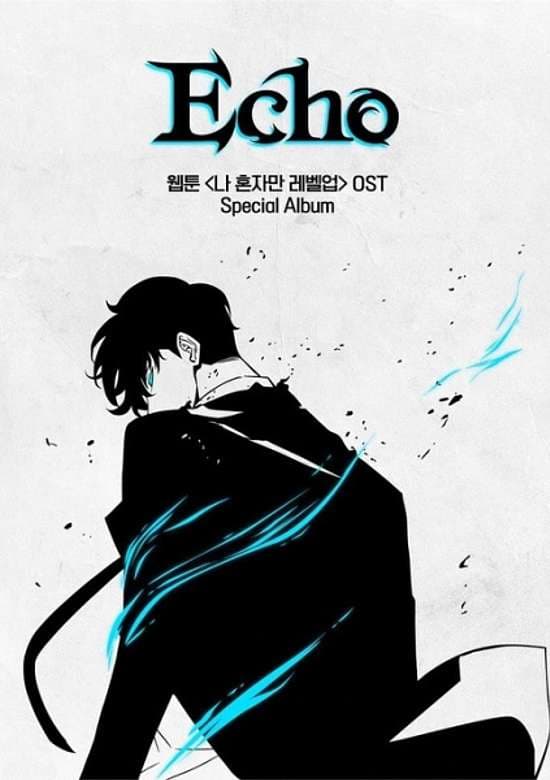Echo