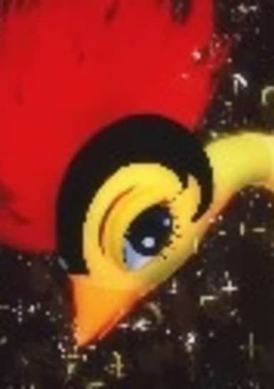 Fire Bird