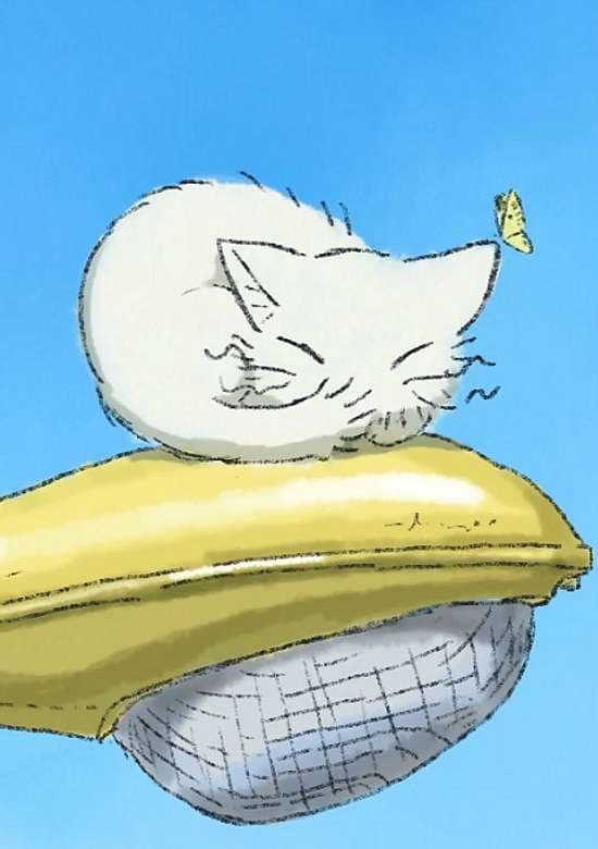 The streetlight and the cat