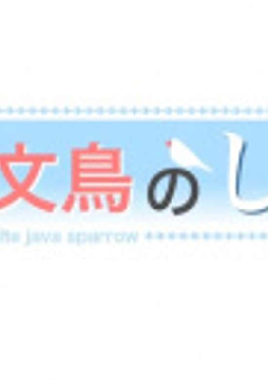 Shiro the White Java Sparrow