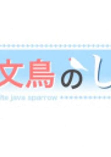Shiro the White Java Sparrow