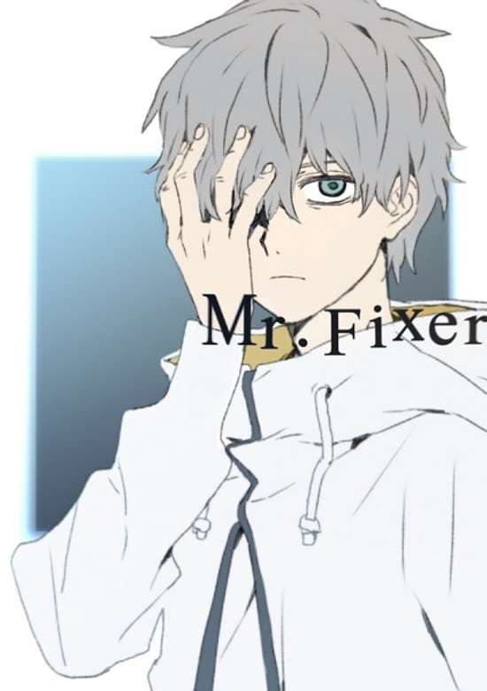 Mr. Fixer
