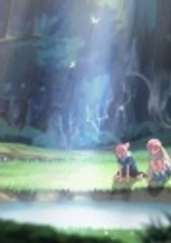 The Land of NOMO