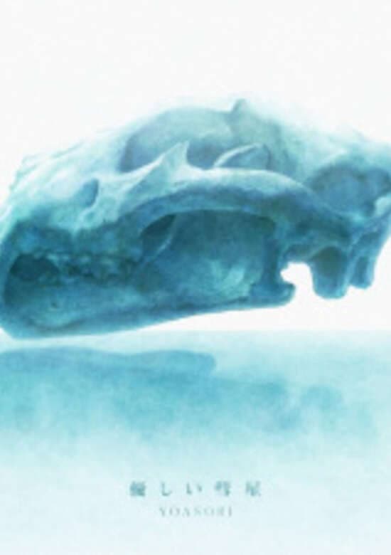 Comet