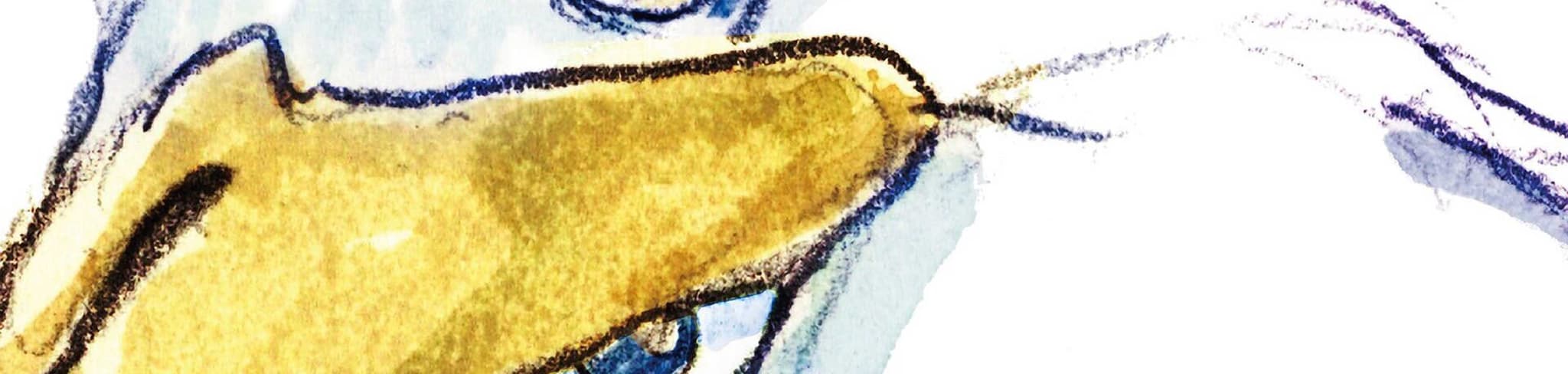The Boy and the Heron banner