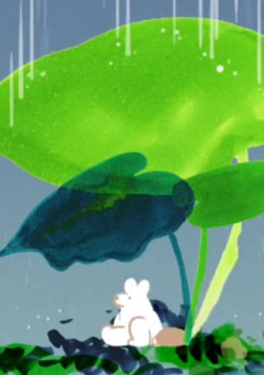 Wander in Wonder