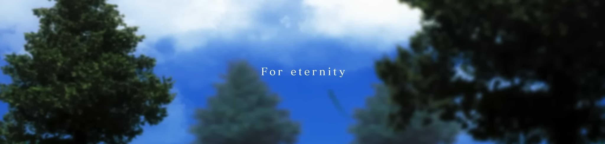 Rise banner
