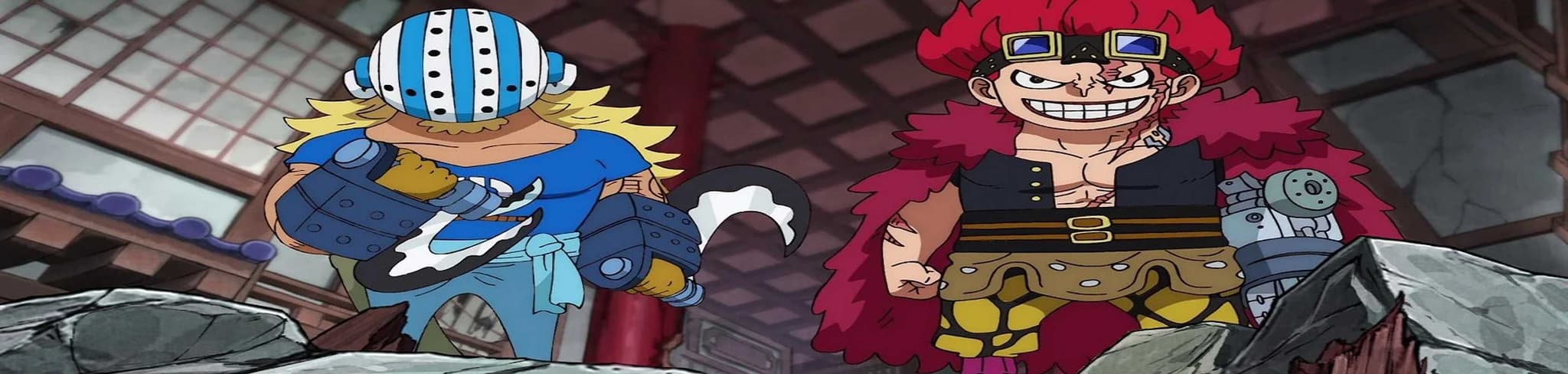 One Piece: A Comprehensive Anatomy! Fierce Fight! The Five from the New Generation banner