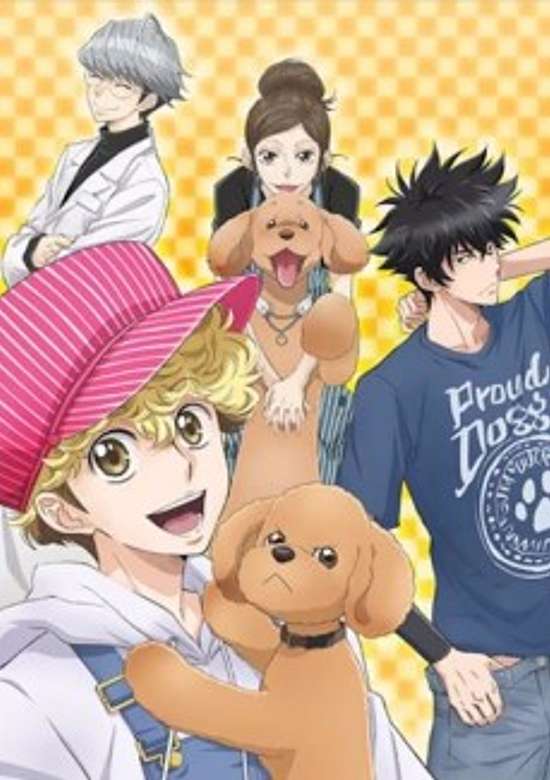 DOG SIGNAL banner