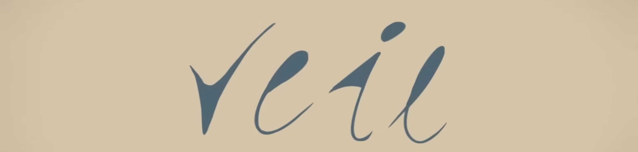 Veil banner