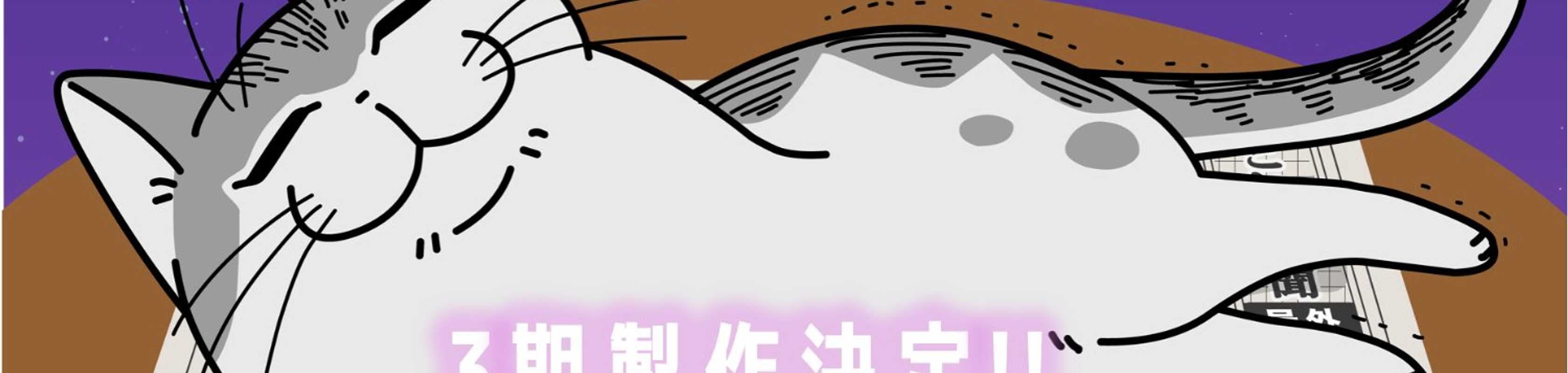 Nights with a Cat Season 3 banner