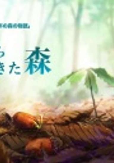 The Forest From the Future