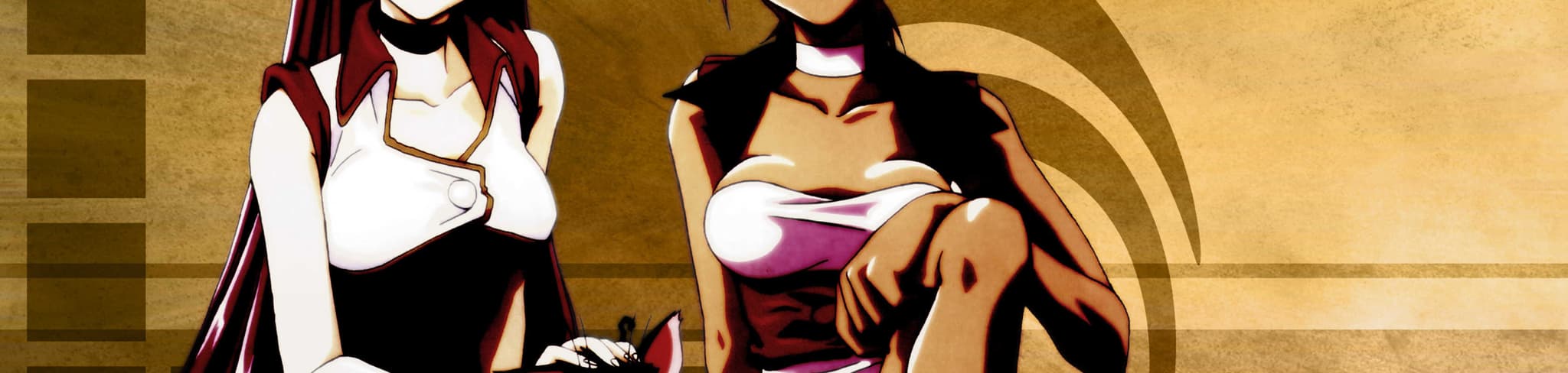 Dirty Pair Flash 2 banner