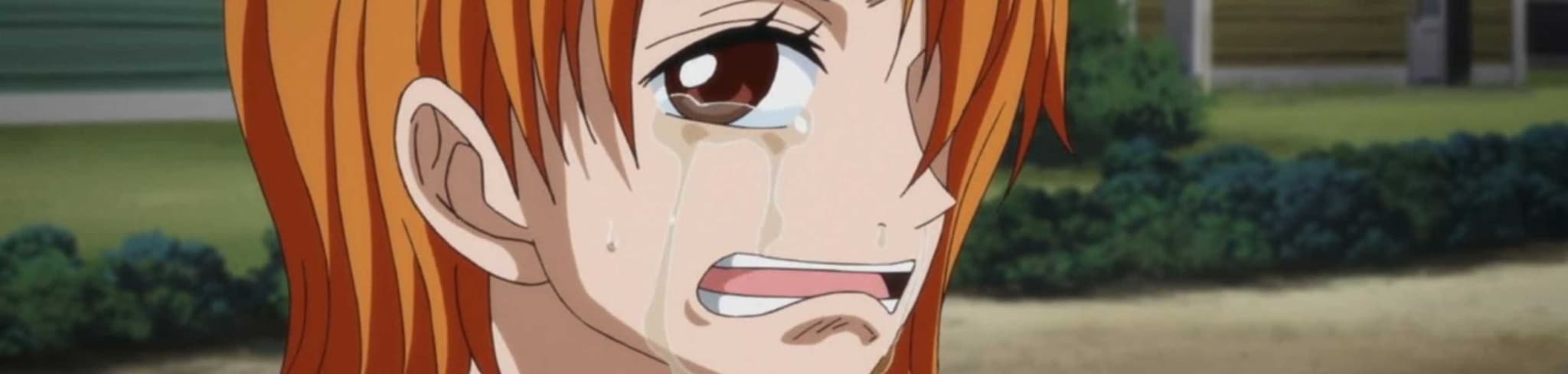 One Piece: Episode of Nami - Tears of a Navigator and the Bonds of Friends banner