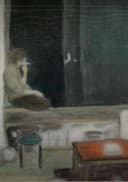 The Room