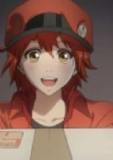 Cells at Work! (ONA)