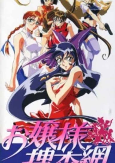 Debutante Detective Corps