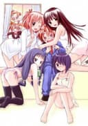 Mahou Sensei Negima! Introduction Film