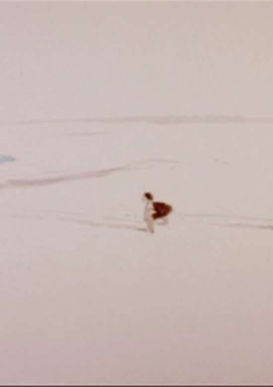Scene banner