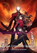 Fate/stay night - Unlimited Blade Works