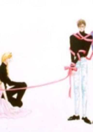 Princess Connection