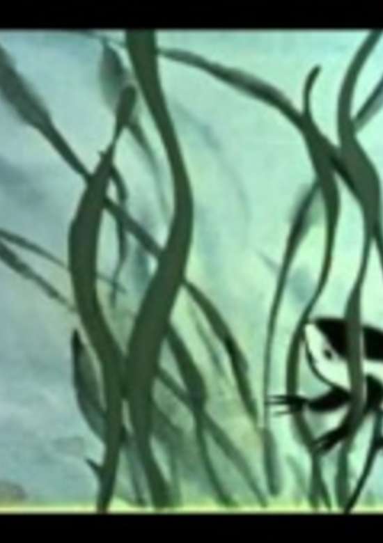 Where is Mama banner